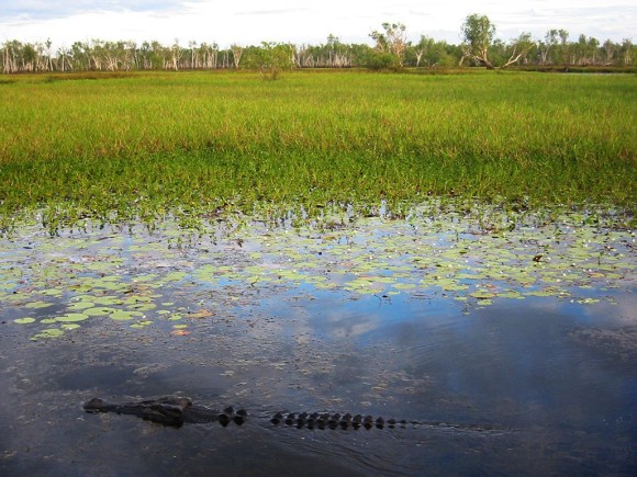 Kakadu National Park. Image: Thomas Schoch [CC-BY-SA-2.5], via Wikimedia Commons