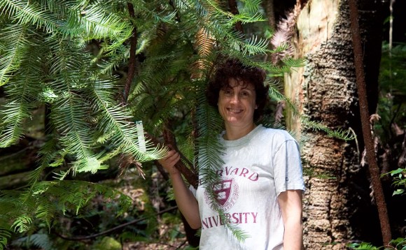 Professor Lesley Hughes, Department of Biological Sciences, Macquarie University, NSW