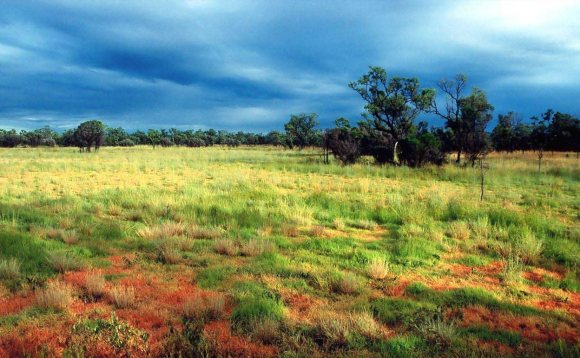 Storm season in the Australian tropical savanna. 